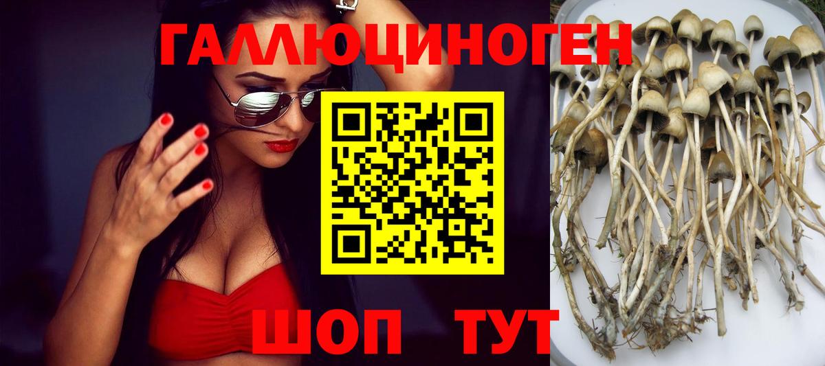 Майкоп  Галлюциногенные грибы мухоморы  Галлюциногенные грибы MAGIC MUSHROOMS  Вход с VPN 